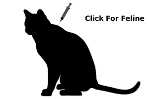 Feline Vaccines