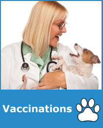 Pet Vaccinations Sammamish