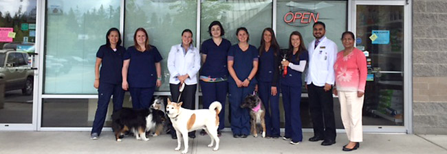 Klahanie Center Veterinary Hospital's Staff Welcomes You